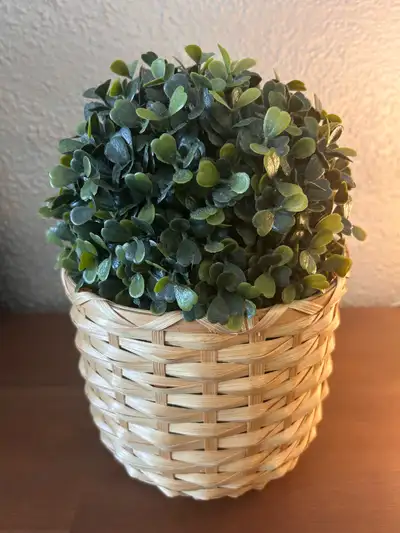 Realistic greenery with pinecone accents Comes in a decorative woven basket planter ✨ Perfect for ho...