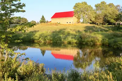 We are looking for a part time handyman to work at an equine farm in Conquerall Mills. Requirements...