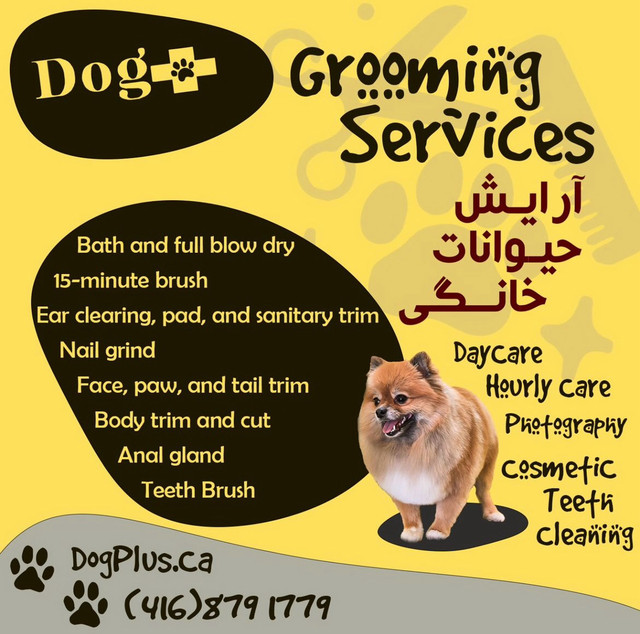 Dog grooming in Animal & Pet Services in Markham / York Region