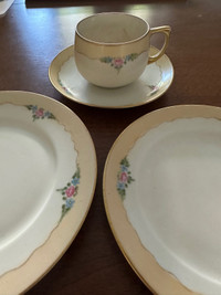  vintage 4, 4 piece tea set  handpainted 1884-1909 Czechoslovaki
