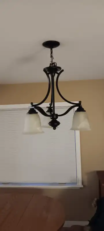 Chandelier Hanging Light in Indoor Lighting & Fans in Brantford - Image 3