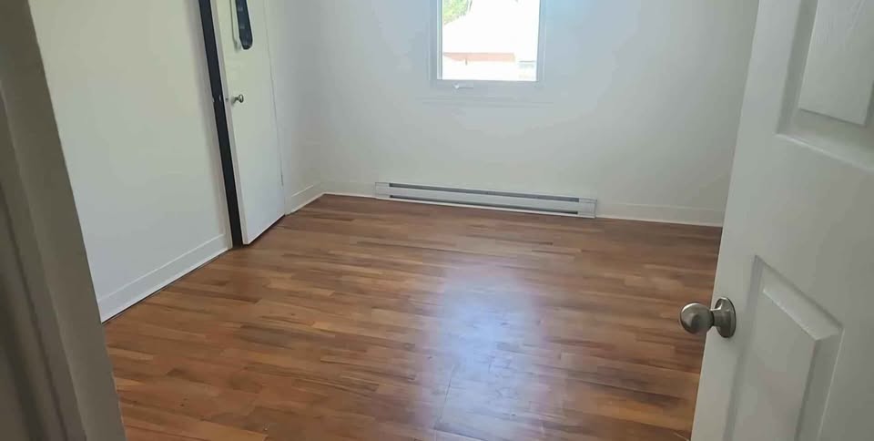 Looking for female roommate — photo 1