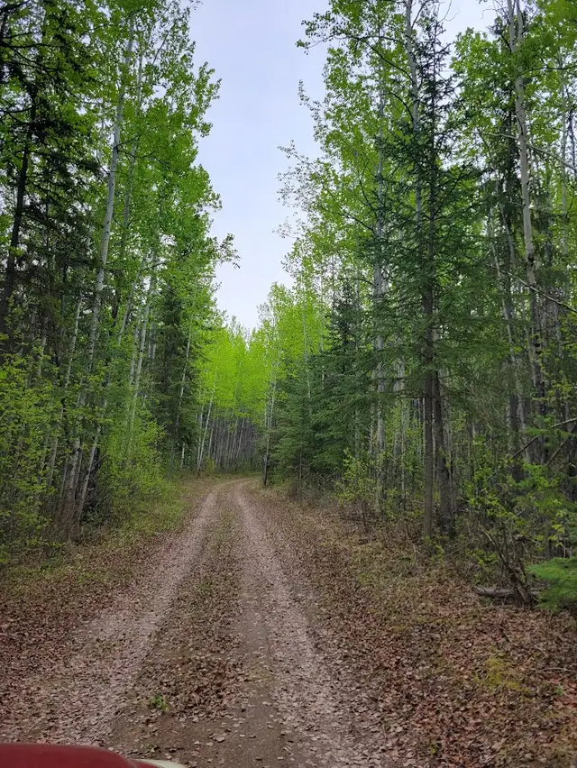 Vacant Land. in Land for Sale in Burns Lake - Image 4