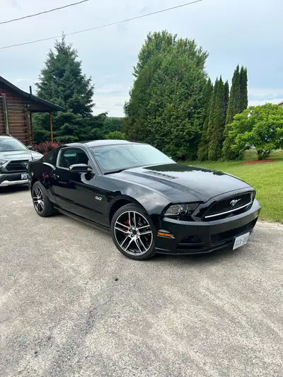 Premium trim with Roush exhaust, 5.0, 430hp.. Car is incredibly clean. 6 speed, 88000km. Owned by my...