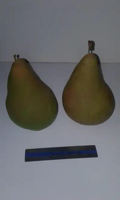 PEARS CONCRETE GARDEN DECOR weigh 5 lbs each, View more