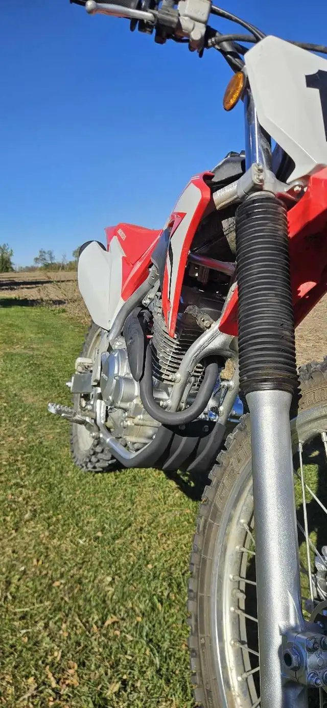2021 Honda CRF 250F in Dirt Bikes & Motocross in Kawartha Lakes - Image 8