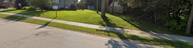 Wanted-Lawn Raking Services in Lawn, Tree Maintenance & Eavestrough in North Bay