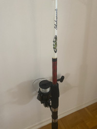 Shakespear Sigma Fishing Rod and Reel