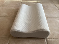 Therapeutic Pillow with Neck Rest