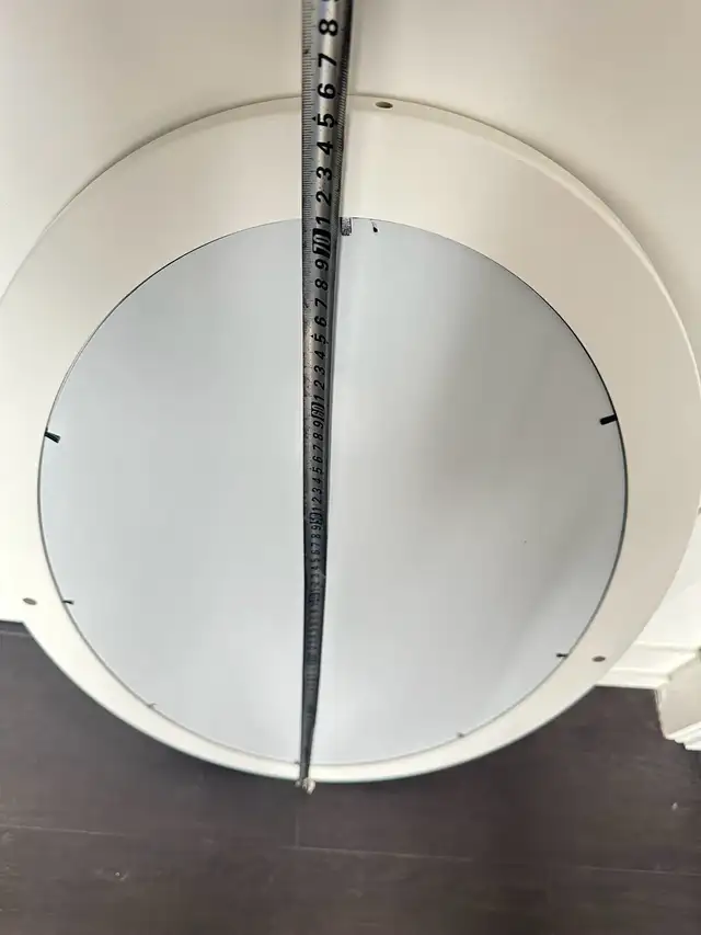 Oval Mirror495871319512207363