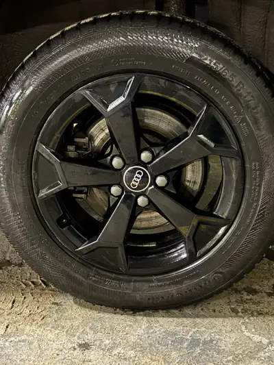 These are Black Audi factory rims, the type they will typically sell you at the dealer do a spare se...