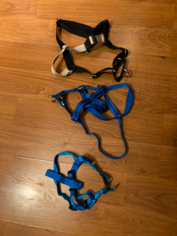 3 dog harnesses in Accessories in Edmonton