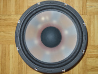 Acoustic Monitor 12" woofer