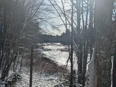 River front property for sale in Shelburne county.Wooded property,close to road ,5 min from all amen...