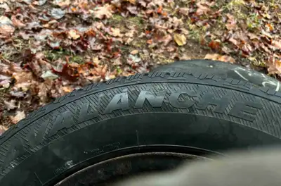 I have 4 Avalanche 215 /65/R17 snow tires on 5x110 mm rims. These came off of a 2015 jeep cherokee 1...