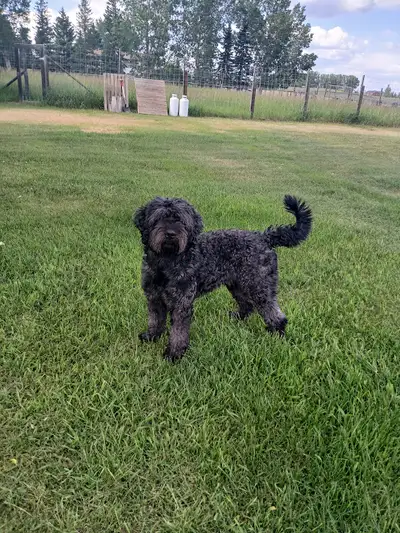 Meet Rhys: Clumsy Charm & Endless Love, View more