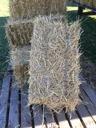 Straw For Sale, View more
