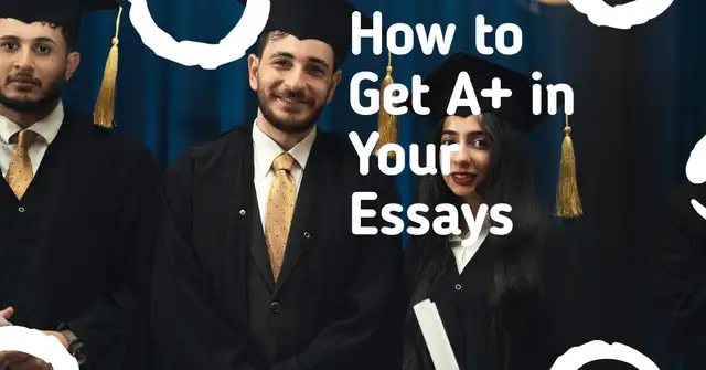 Let Me Write Your Essays For You63848994477057122