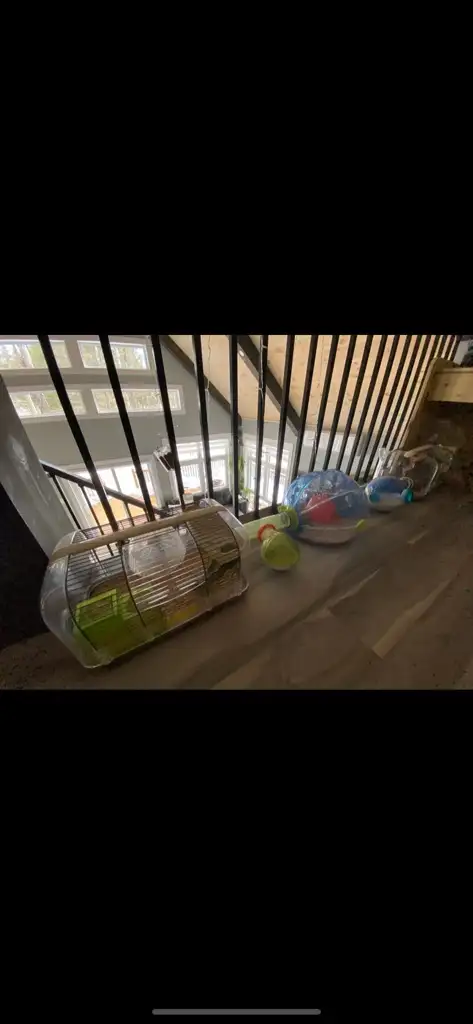 cage pour hamster in Accessories in Lanaudière - Image 6