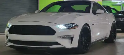 I bought the car new in 2019. I paid to have the red leather interior installed paired up with the B...