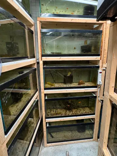 All fish tanks have a glass lid, most of the tanks are under 1 year old and they all hold water. 5 g...