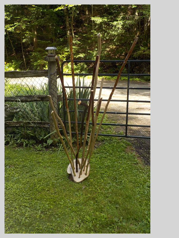 Beaver Sticks- Mementos of Muskoka in Arts & Collectibles in Muskoka - Image 2