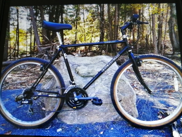 bianchi ocelot mountain bike