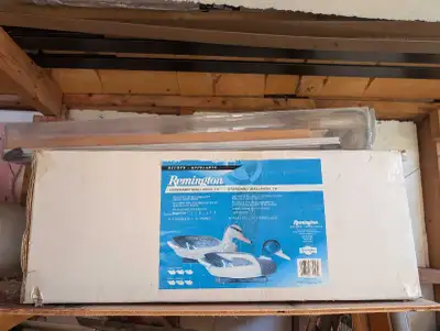 duck Decoys, View more