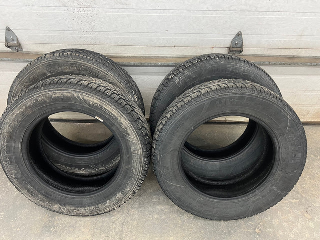 Goodyear 225/65R17 Winter Studded (used) in Tires & Rims in Miramichi