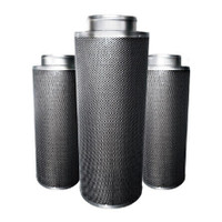 Inline Carbon Filter 4, 6, 8, 10, 12 inch