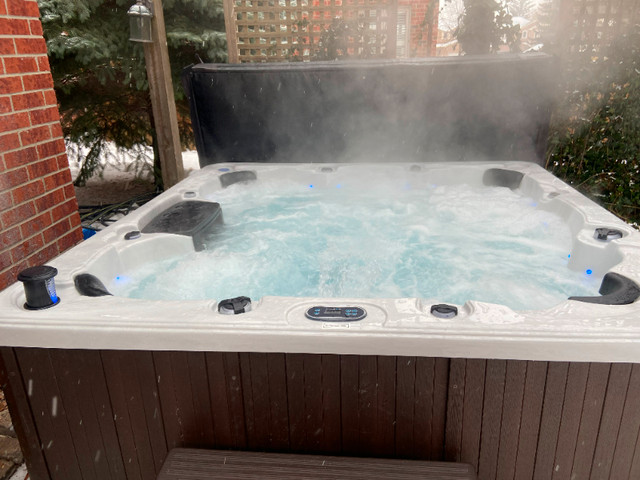 WOW! New 8 Seater Spa - 56 Jets - Fully Loaded - Free Delivery in Hot Tubs & Pools in Oshawa / Durham Region - Image 4