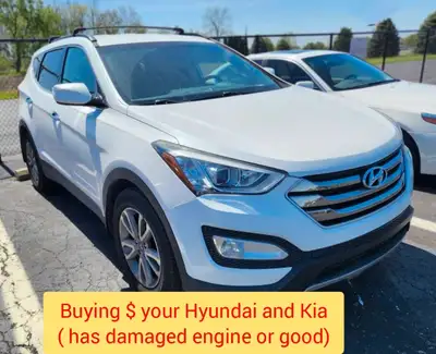 Buying $ Hyundai and Kia ( has damaged engine / or good )
