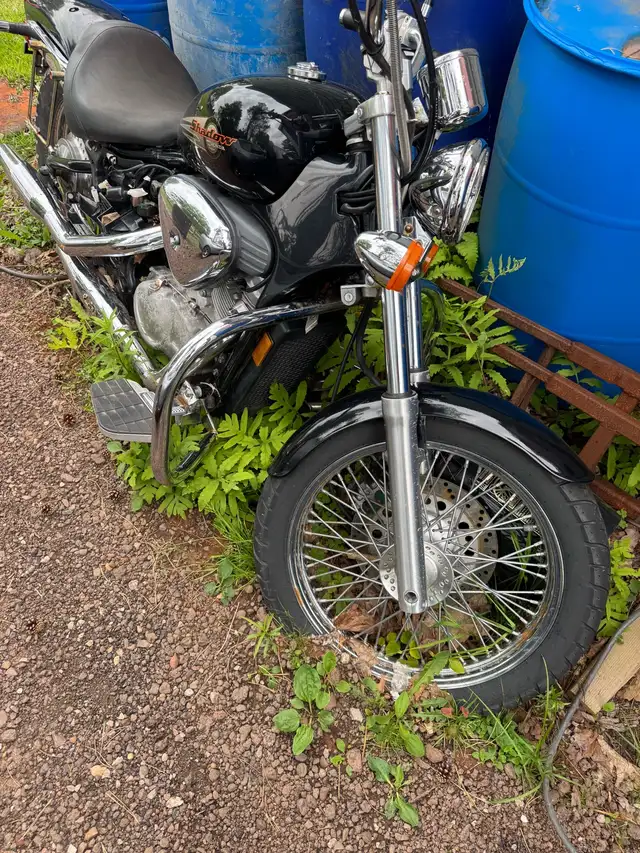 Honda shadow  in Street, Cruisers & Choppers in Charlottetown - Image 2