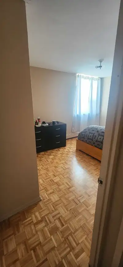 1BR Apartment Share – Male Roommate Needed