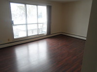 JUNE Renting! A nice, full of light 1-bedroom suite on 82 ave.