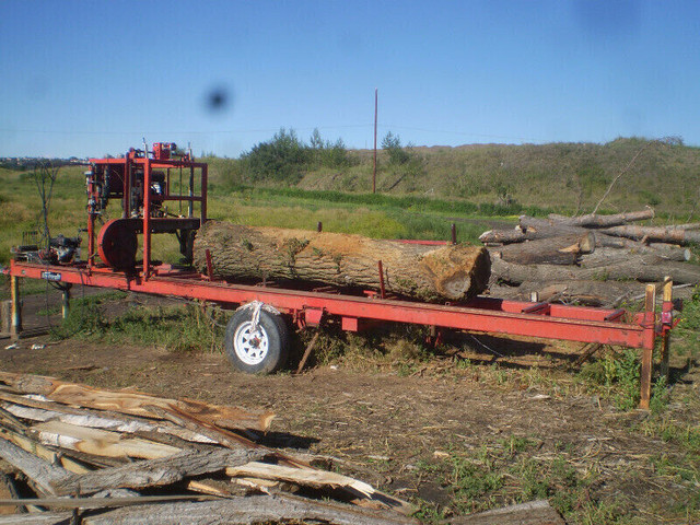Local Live Edge Lumber and woodlot in Other Business & Industrial in Calgary