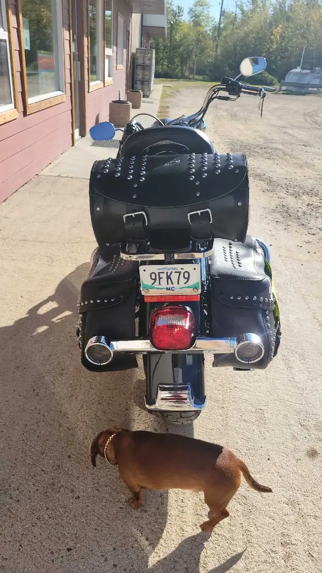 2004 Harley Davidson Heritage Softail  in Sport Touring in Winnipeg - Image 10