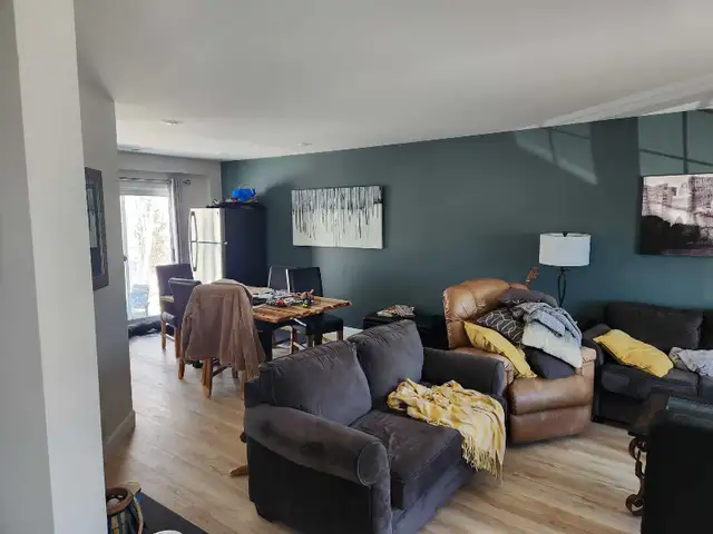 professional Painter 65585440938625120