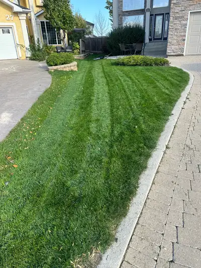 Lawn Weed Spraying & Fertilizer, View more