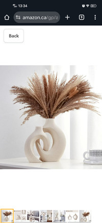 brand new Vase, Matte Snuggle Hollow Flower Vase for Pampas Gras