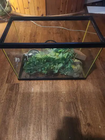 reptile tank, View more