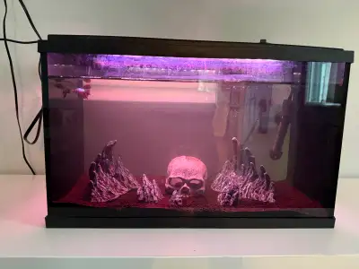 10 gallon black glass glo tank for sale with pump heater, lights, betta fish, decorations and substr...
