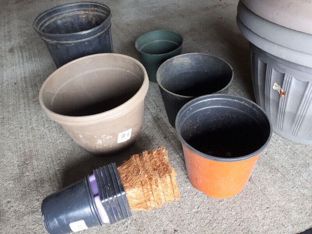 Gardening in Plants, Fertilizer & Soil in Gatineau - Image 4