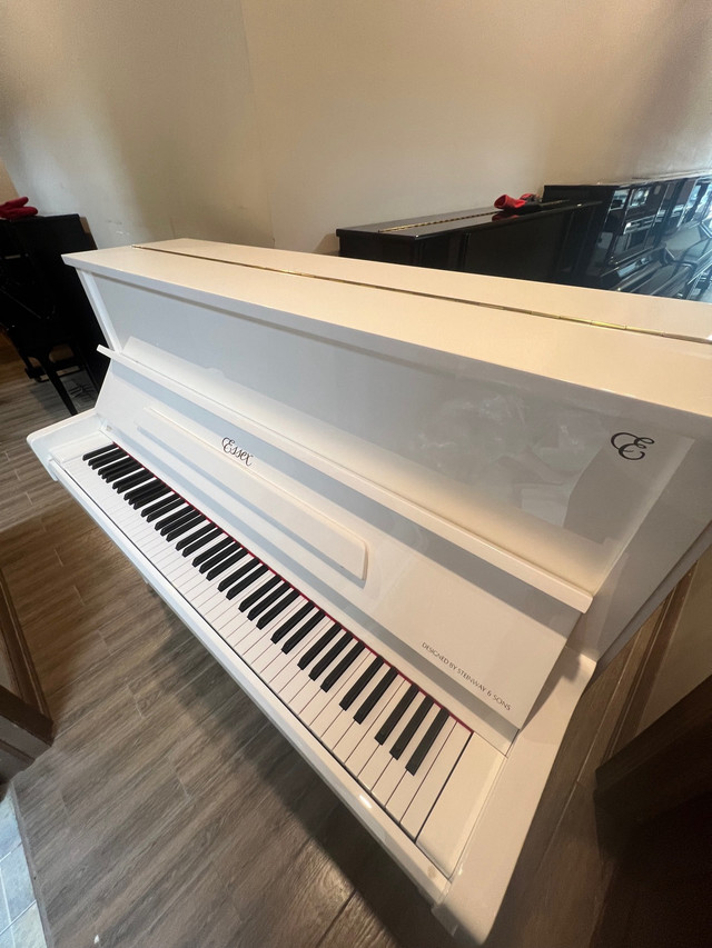 2017 Steinway’s series (Essex) Upright Piano in Pianos & Keyboards in Markham / York Region - Image 3