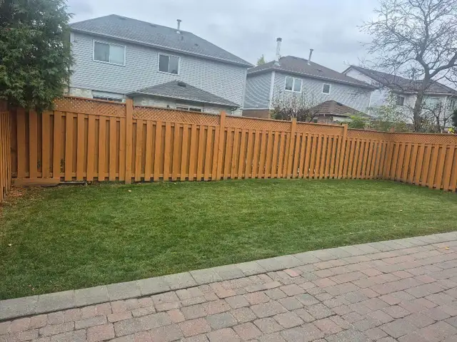 Grass cutting service in Peel and Halton region in Lawn, Tree Maintenance & Eavestrough in Mississauga / Peel Region - Image 11
