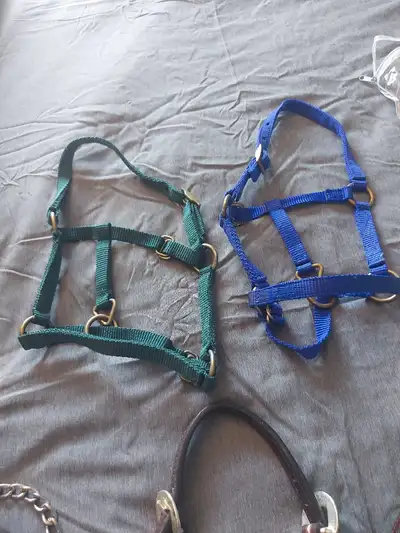 2 mini horse size B halters $10 apiece, View more