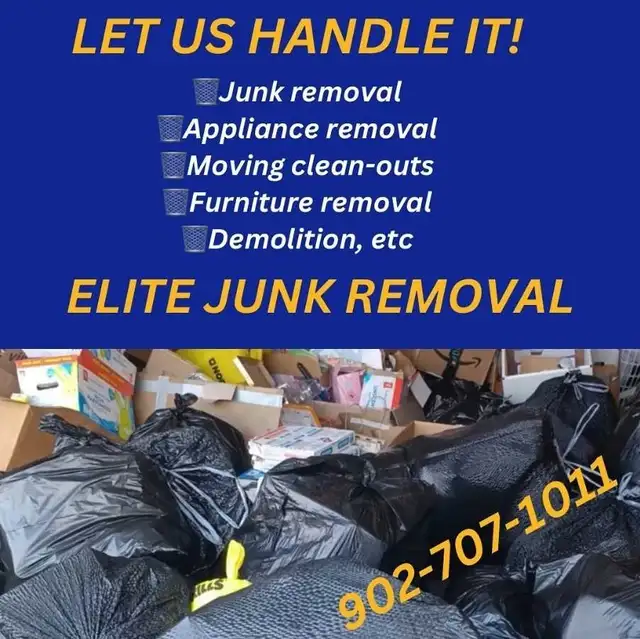 junk removal service