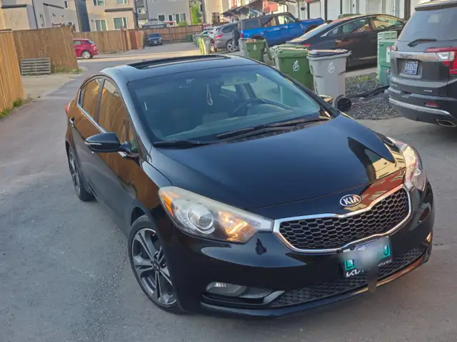 Validy Safety..2015 forte480461338413649920