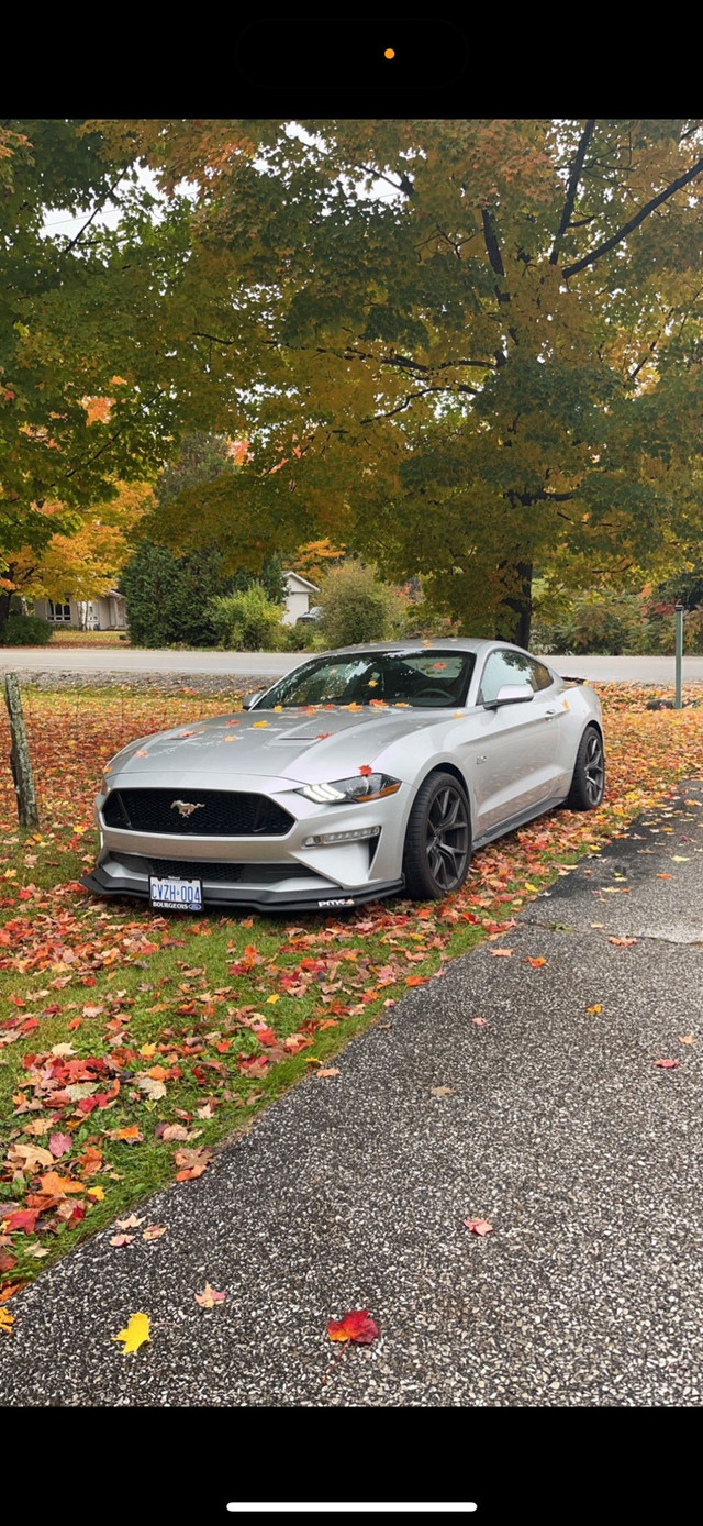 2019 mustang gt pp2 in Cars & Trucks in Barrie - Image 3