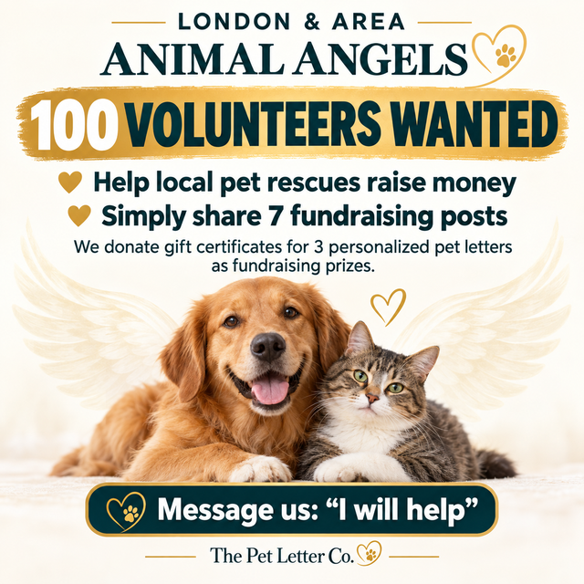  BECOME ONE OF OUR FIRST 100 LONDON & AREA ANIMAL ANGELS!
